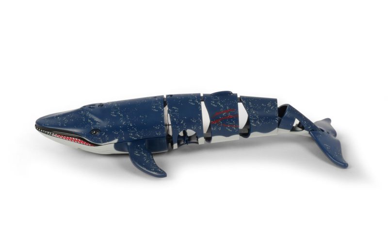 T618 requin sous marin