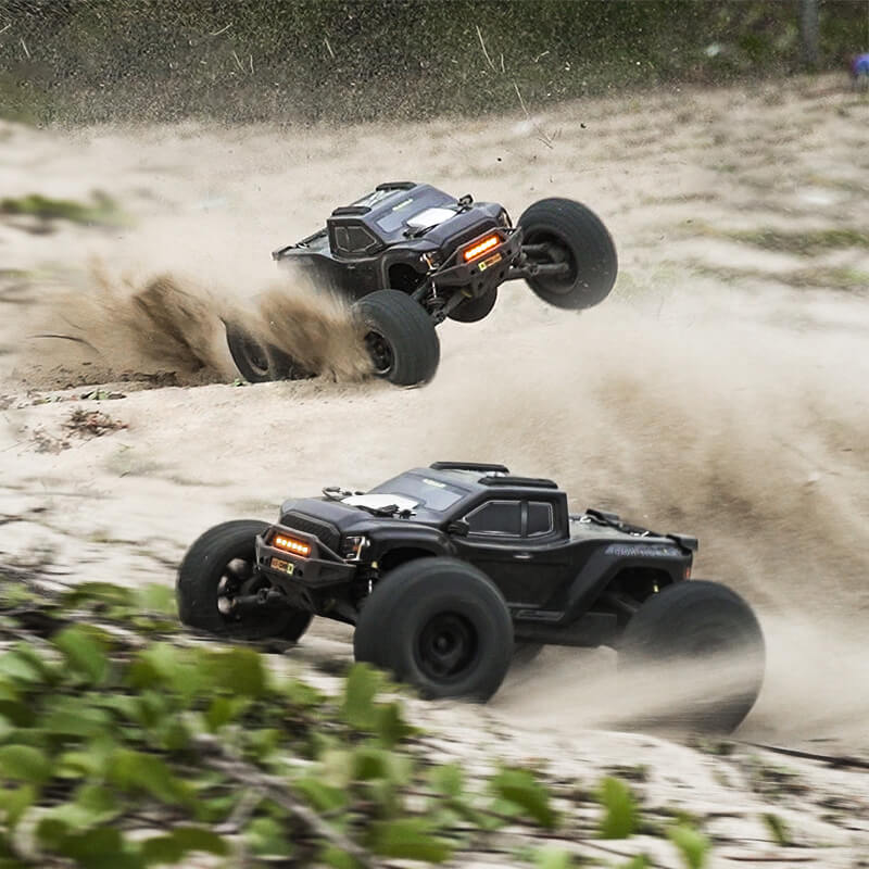 Rlaarlo Omni-Terminator RZ001B-C monster truck 1/10 brushless version Carbone