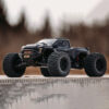 Rlaarlo Omni-Terminator RZ001B-C monster truck 1/10 brushless version Carbone